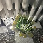 Apartament Przytulny Z Ogrodem W Jeleniej Górze By Renters
