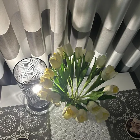 Apartament Berlińska 43