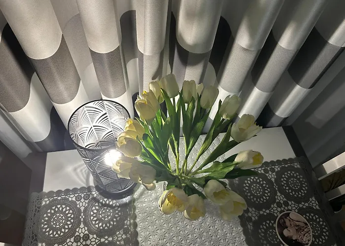 Apartament Berlińska 43